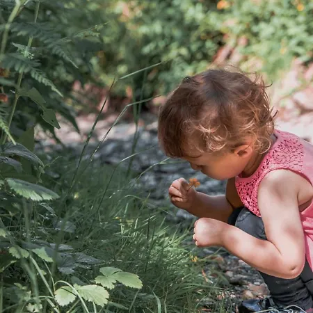 Metzler Schwarzenberg im Bregenzerwald