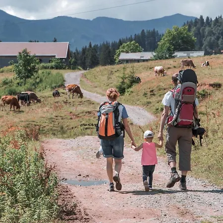 Metzler 施瓦岑贝格
