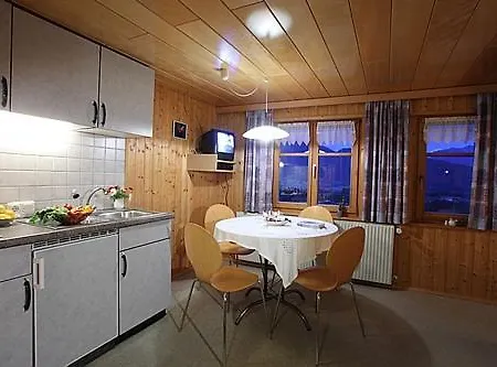 Metzler 施瓦岑贝格