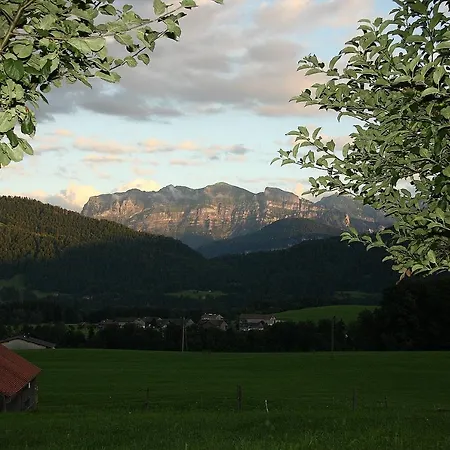Metzler *