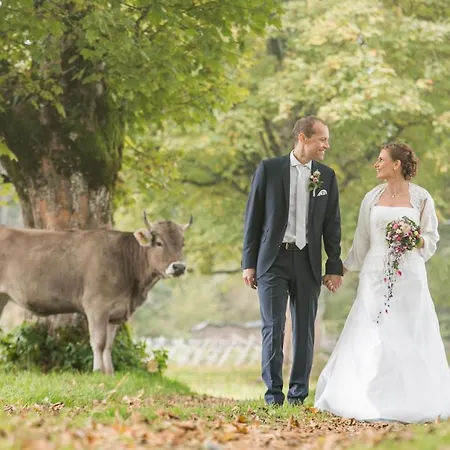 农家乐 Metzler 施瓦岑贝格