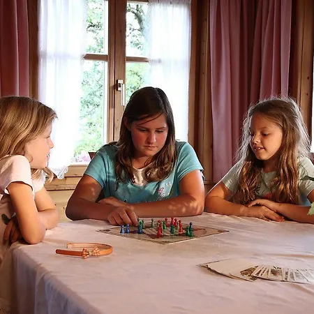 农家乐 Metzler 施瓦岑贝格